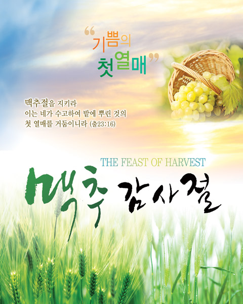 맥추절 벽면형-002