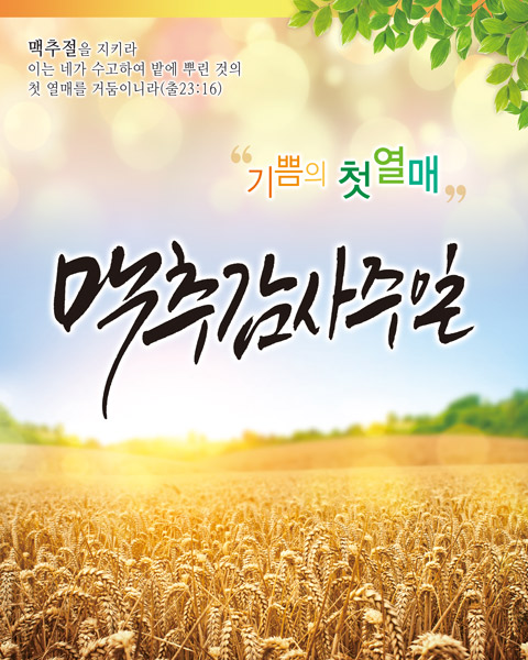 맥추절 벽면형-004
