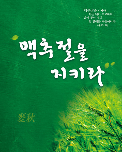 맥추절 벽면형-006